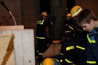 IMG_8115 (Large)